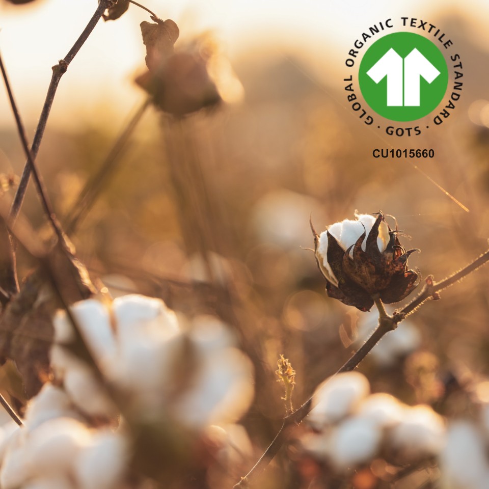 Utilize para ver mais