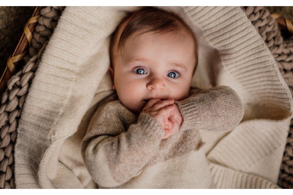 Utilize para teddy bear