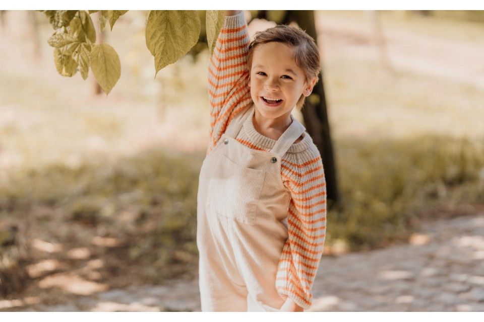 Utilize para wedoble play