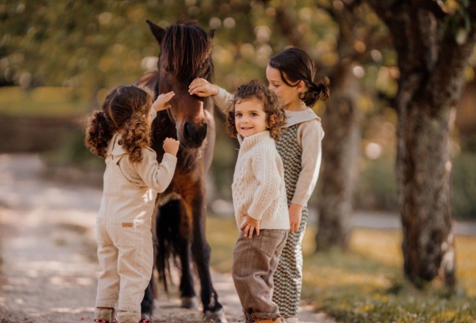 Use to winter stories