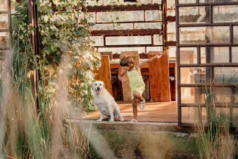 Utilize para ver mais