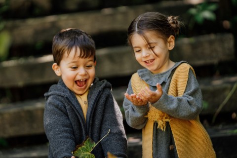 Utilize para ver mais