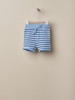 Cotton knit stripe shorts Cotton knit stripe shorts