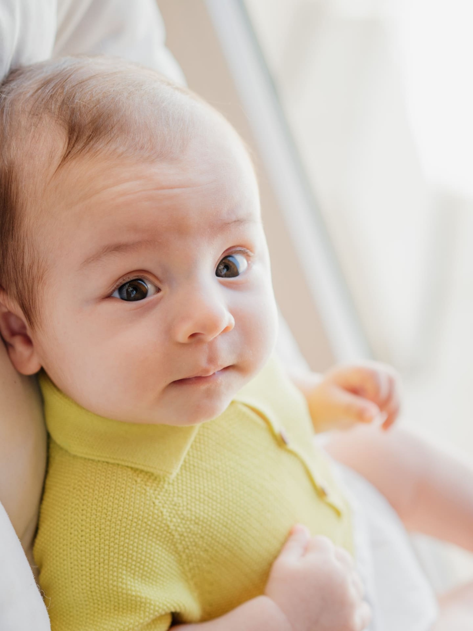 Knitted polo shortie