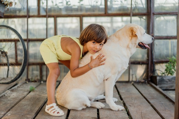 Children's relationship with animals