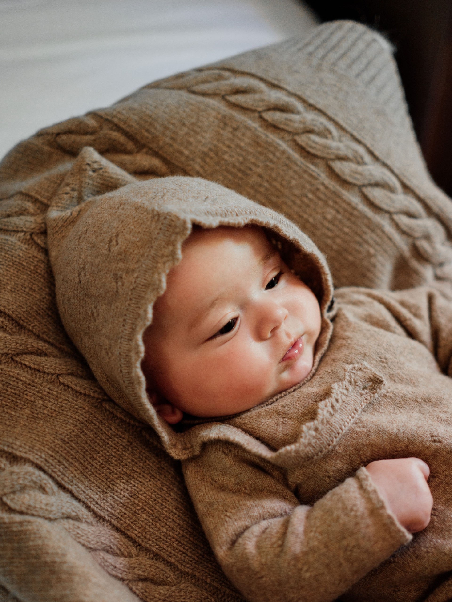 Camisola tricotada lã