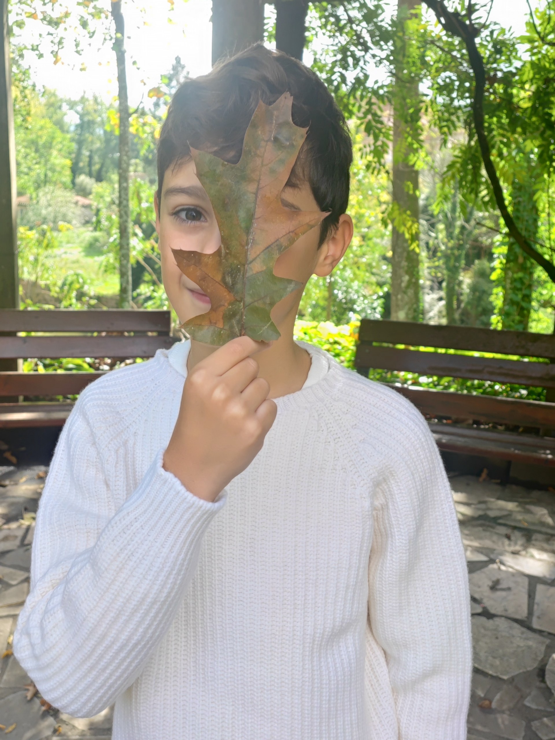 Camisola tricotada lã