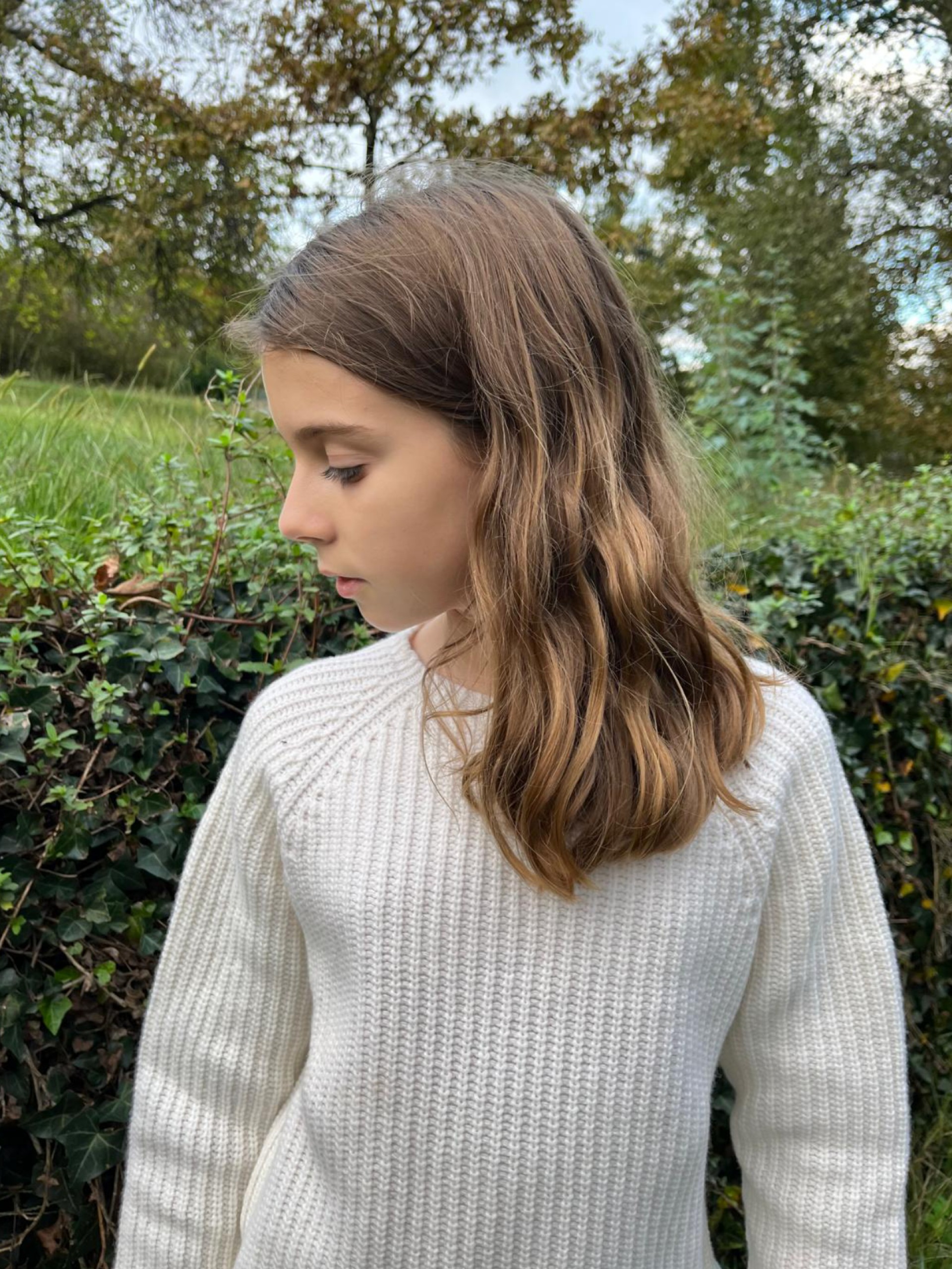 Camisola tricotada lã