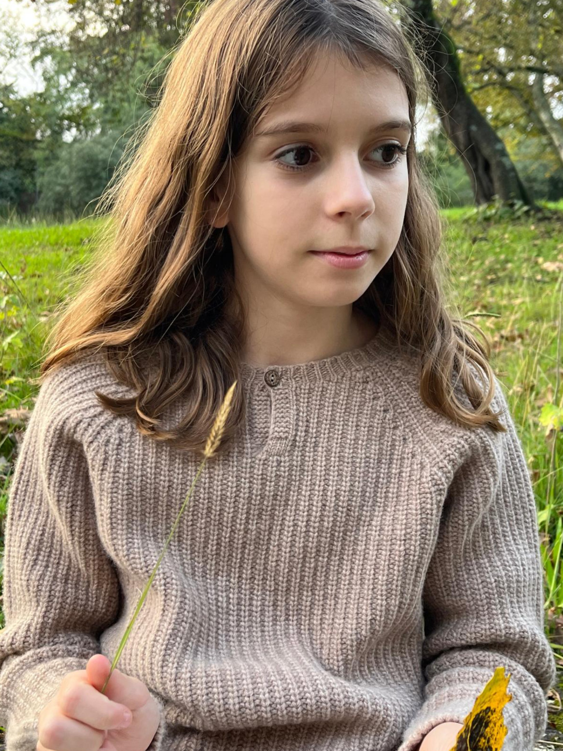 Camisola tricotada lã