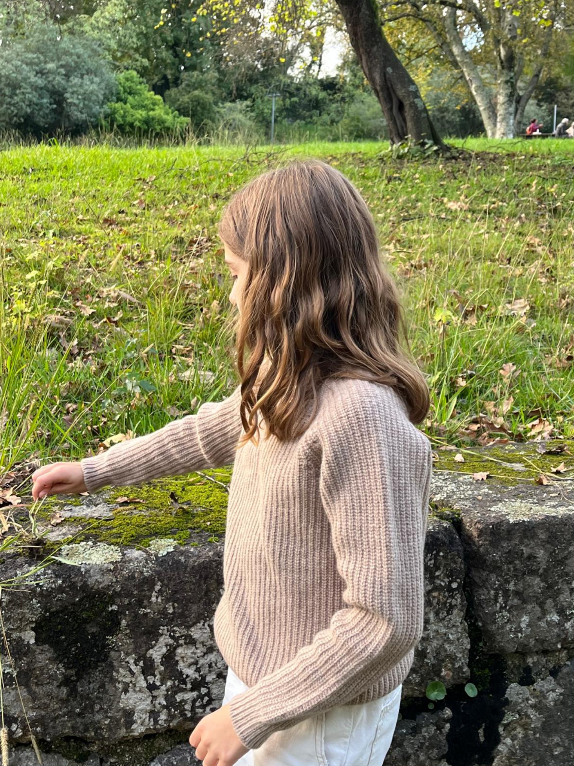 Camisola tricotada lã