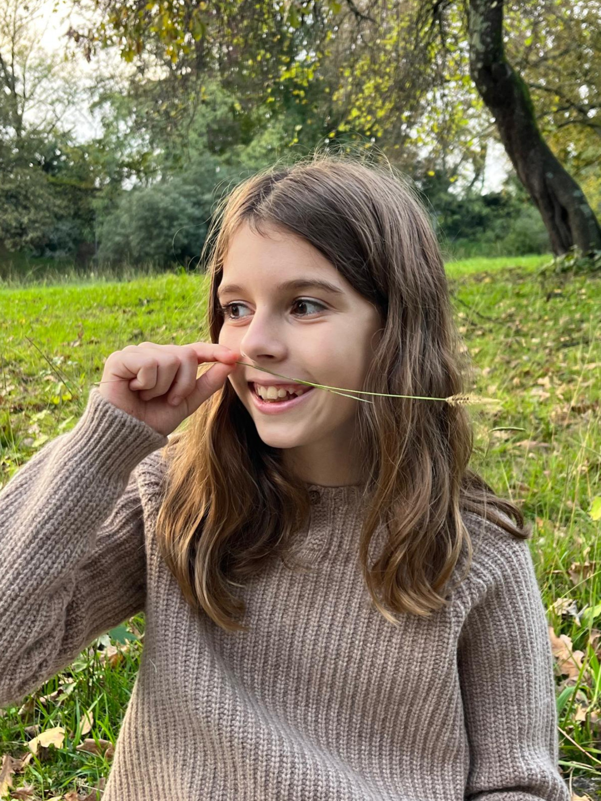 Camisola tricotada lã