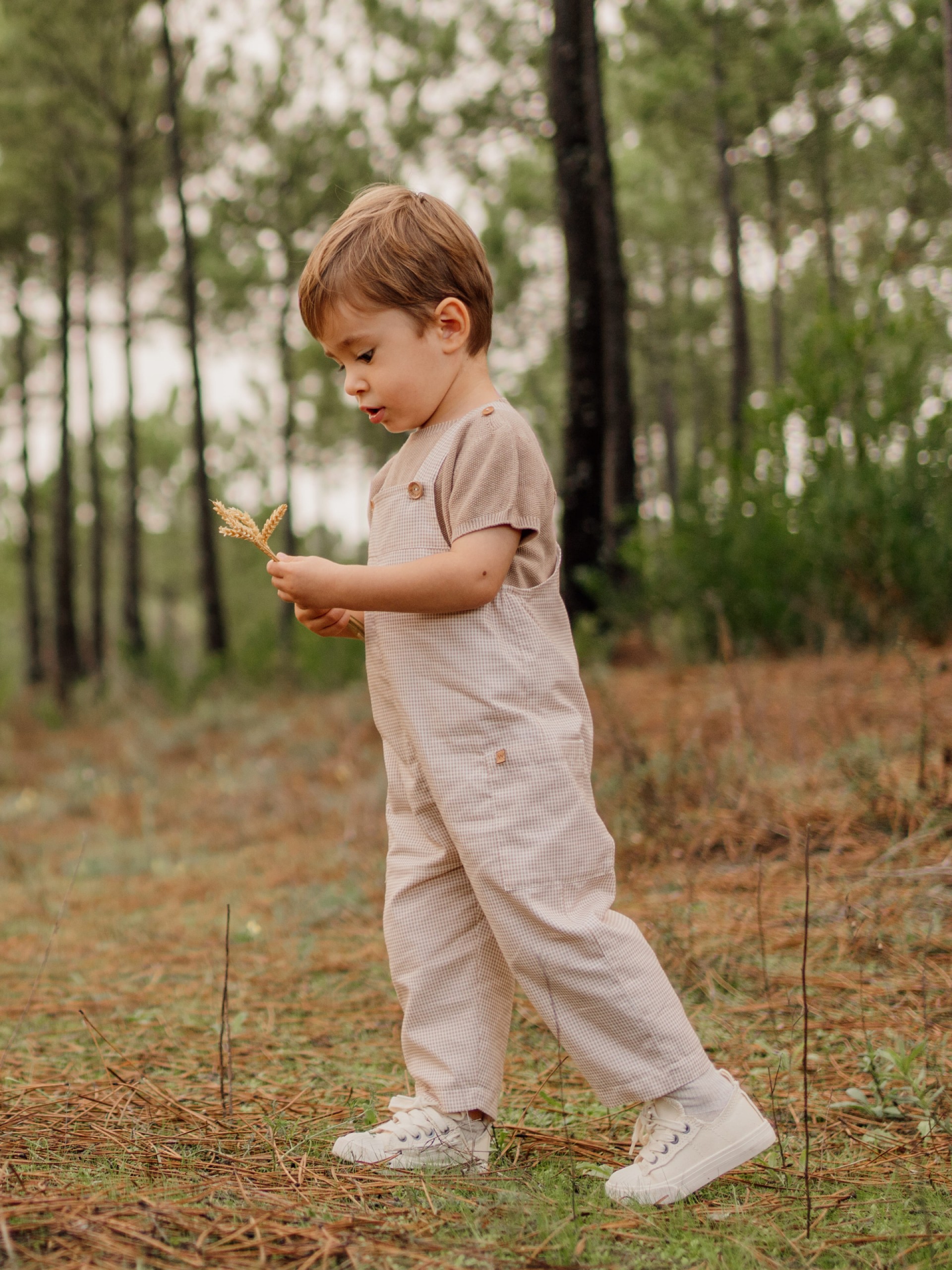 Organic cotton sweater