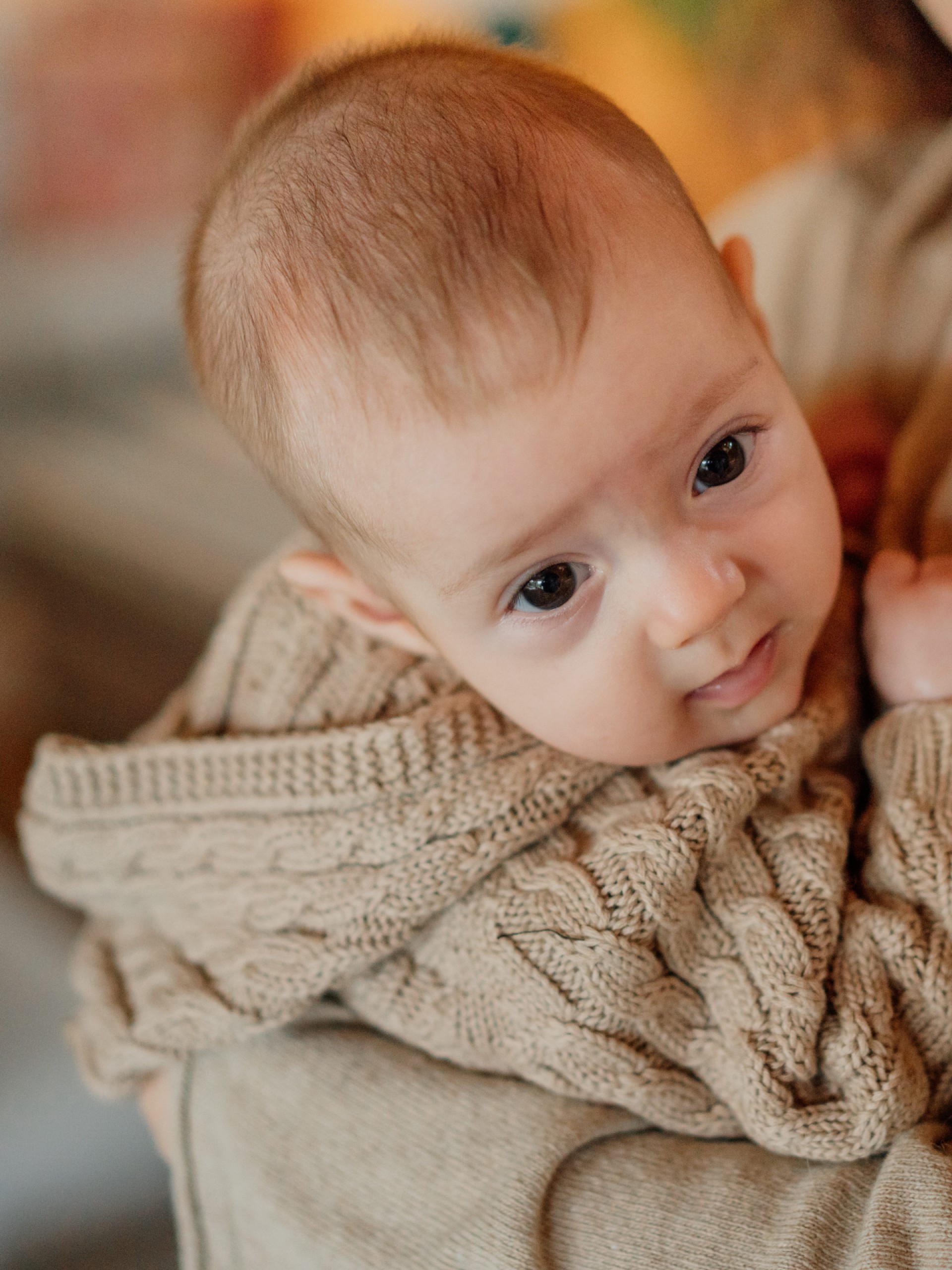Hooded knit cardigan