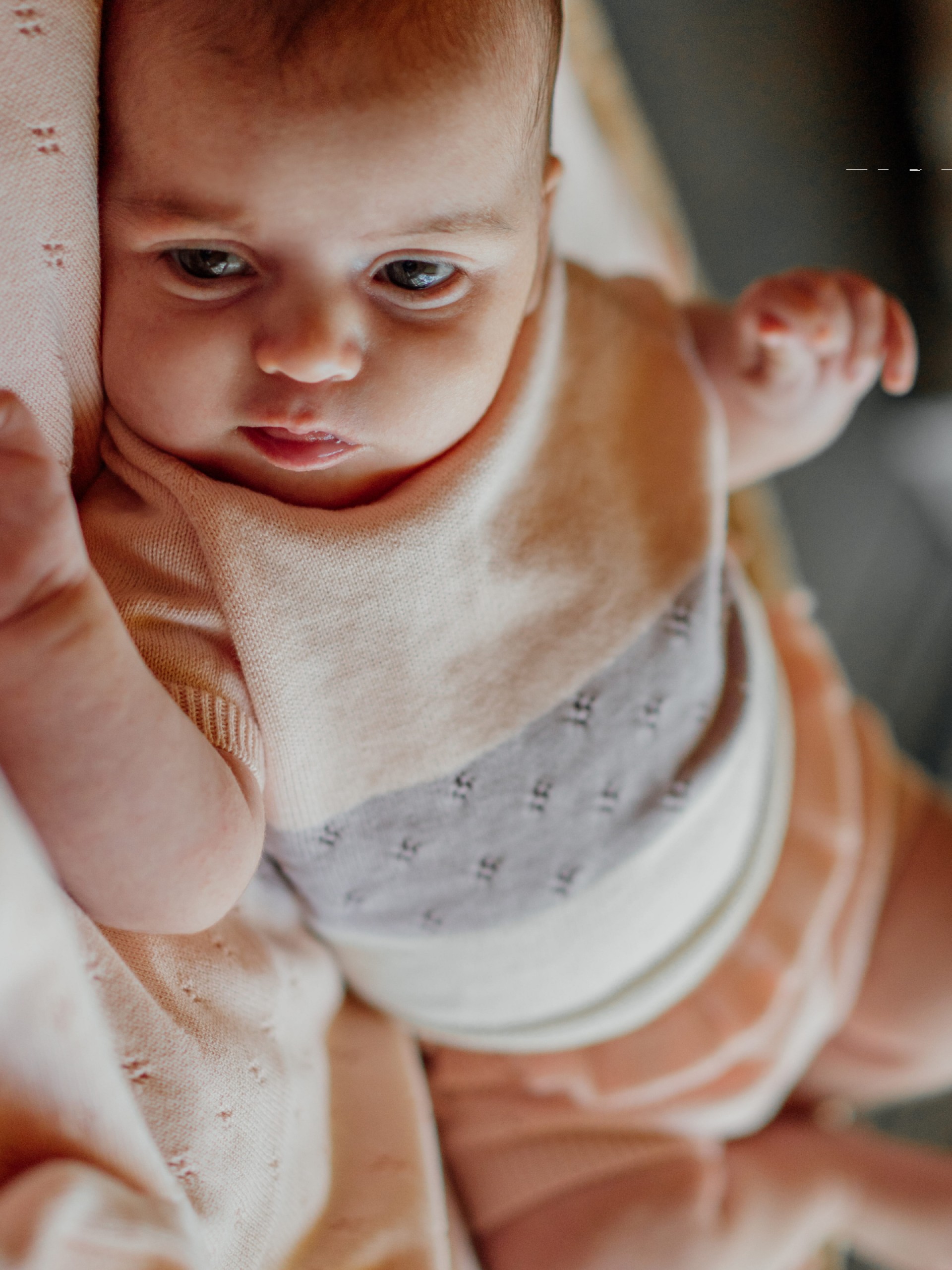 Organic cotton sweater