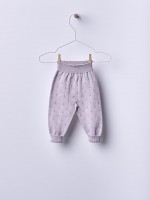 29 Lilac