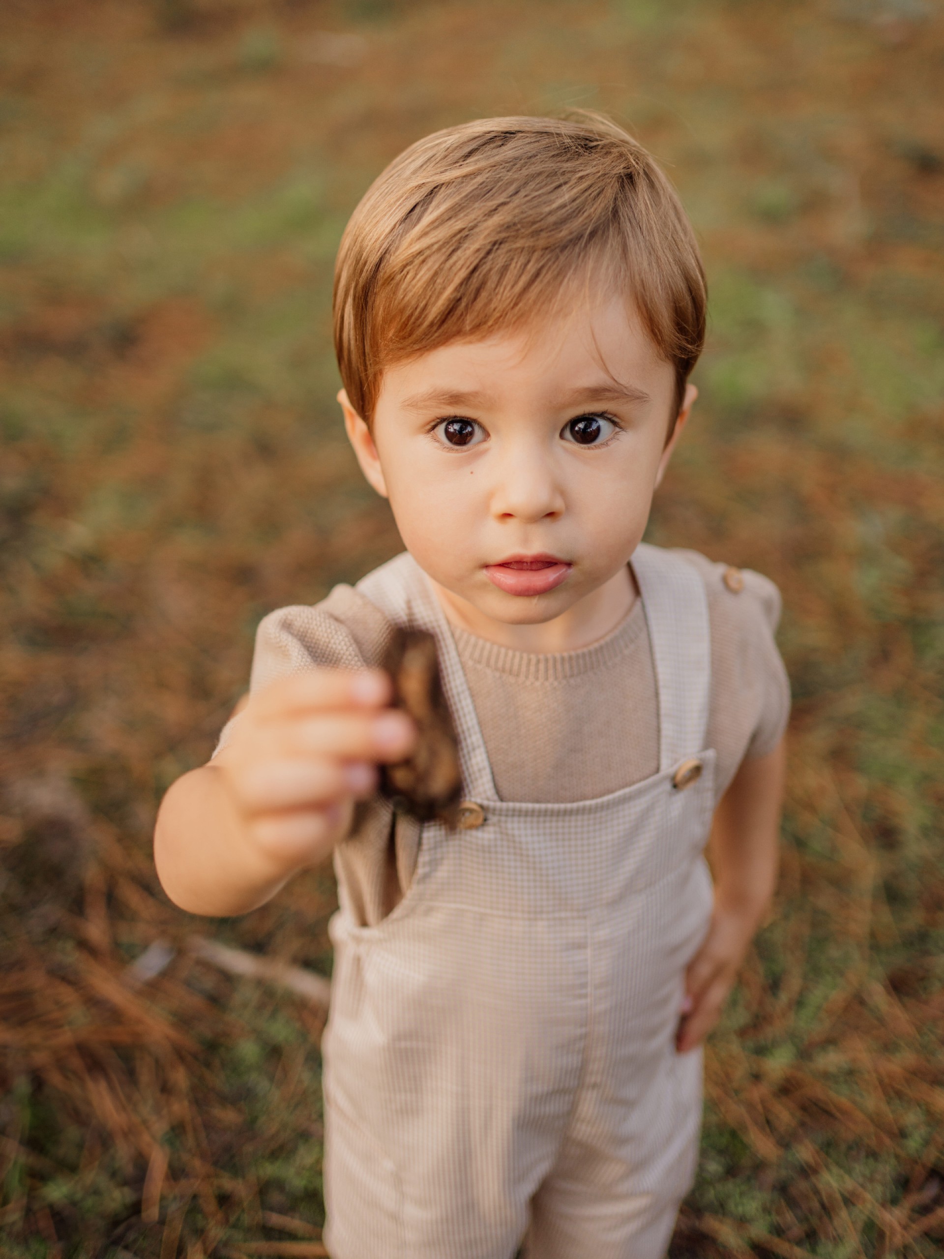 Vichy plaid dungarees