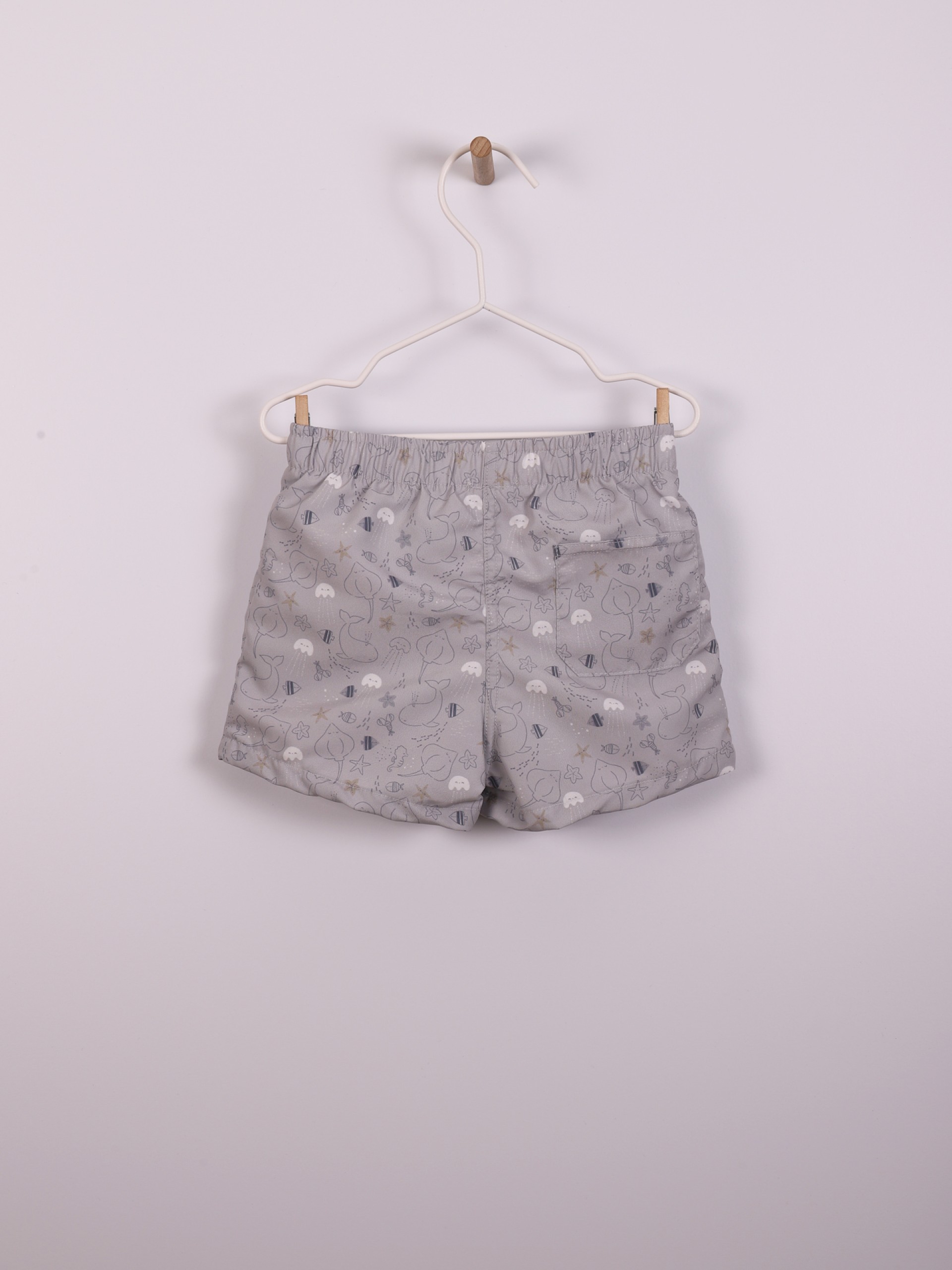 All aboard! shorts