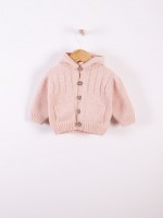44 Pink moulin