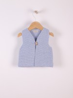 43 Blue moulin