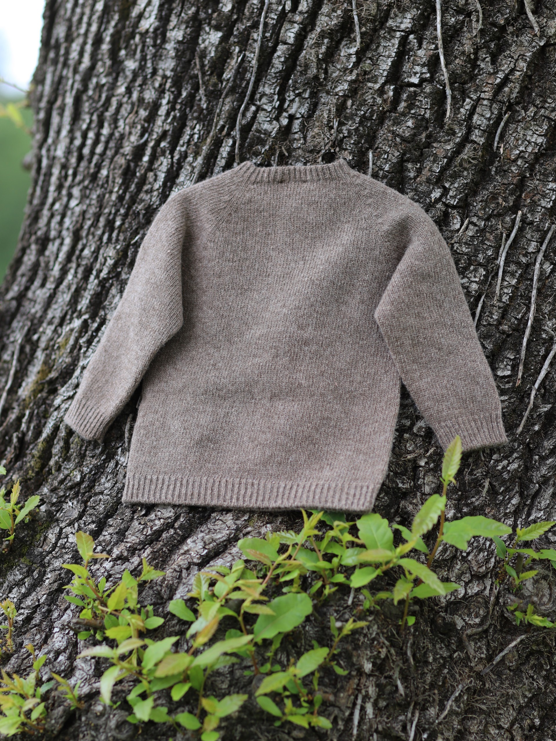 Knitted wool sweater