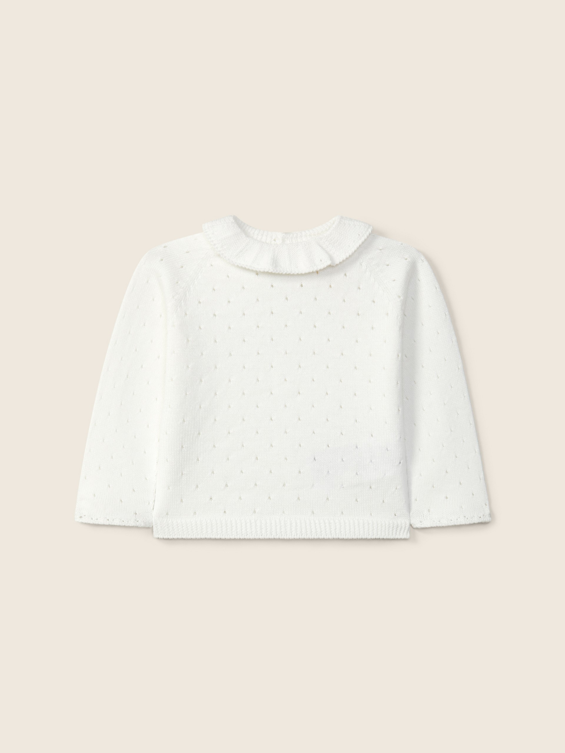 Organic cotton sweater
