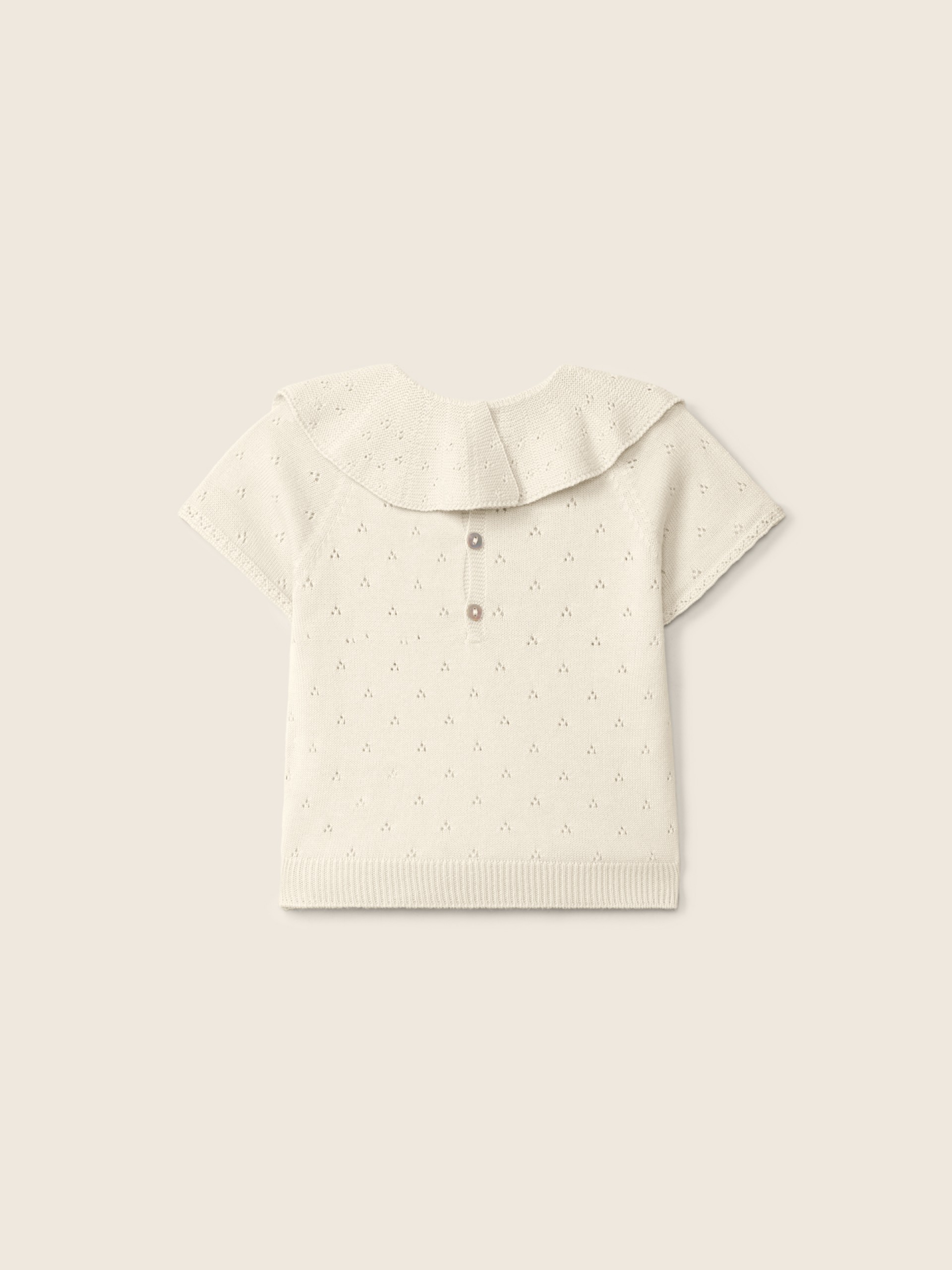 Camisola algodão orgânico